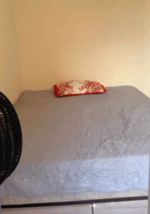 Casa de Atendimento em Lins