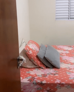 Venha Faturar em Americana – SP!