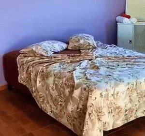 Casa de Atendimento em Passos, MG