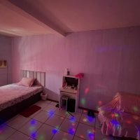 WhatsApp Image 2026-02-12 at 17.36.25